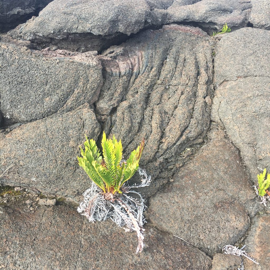 Coaching, formation & accompagnement 82pourcent